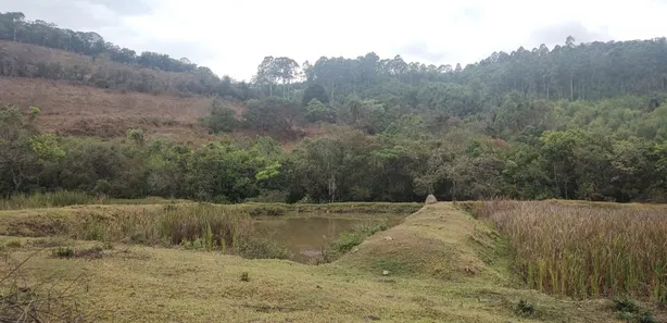 Terreno / Lote / Condomínio à venda, 20000m² no , Caeté
