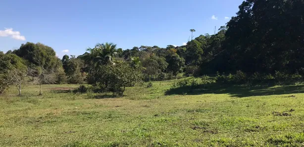 Fazenda / Sítio / Chácara com 3 Quartos à venda, 165000m² no Papucaia, Cachoeiras de Macacu