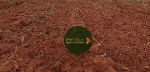 Fazenda / Sítio / Chácara à venda, 17151750m² no , Ponte Alta do Tocantins