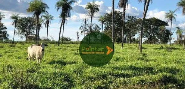 Fazenda / Sítio / Chácara à venda, 5320000m² no Área Rural de Gurupi, Gurupi