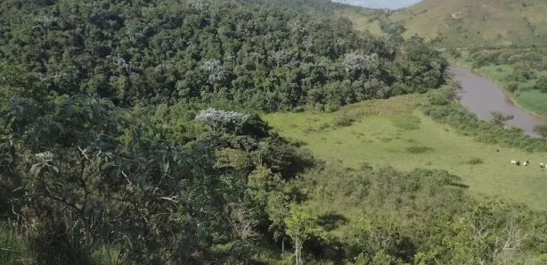Fazenda / Sítio / Chácara com 1 Quarto à venda, 90m² no , Redenção da Serra