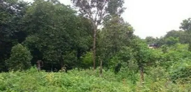 Terreno / Lote / Condomínio à venda, 2352m² no , Paraíso do Tocantins
