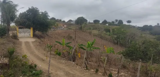 Fazenda / Sítio / Chácara com 4 Quartos à venda, 20000m² no Distrito Industrial (Prefeito José Augusto Ferrer de Morais), Vitória de Santo Antão