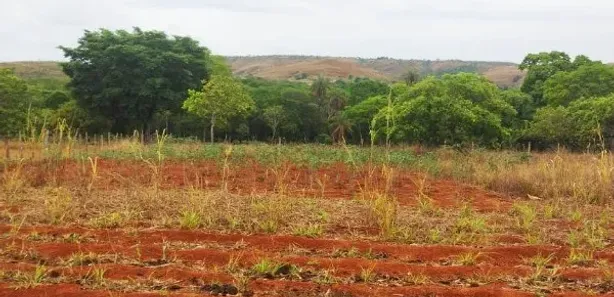 Fazenda / Sítio / Chácara com 2 Quartos à venda, 60000m² no Residencial Alvorada, Novo Gama