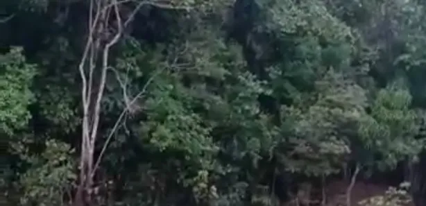 Fazenda / Sítio / Chácara à venda, 2000m² no , Joaquim Gomes