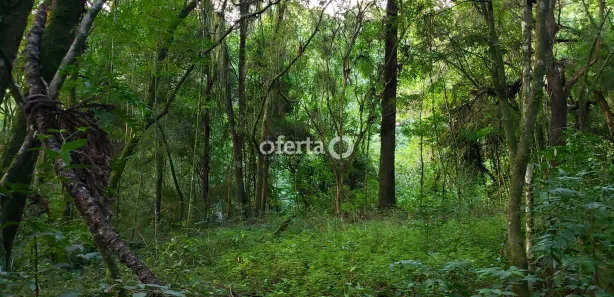Fazenda / Sítio / Chácara à venda, 21381m² no Área Rural de Araucária, Araucária