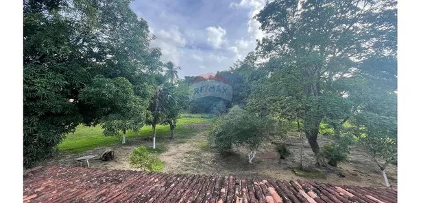Fazenda / Sítio / Chácara com 4 Quartos à venda, 8900m² no , Marechal Deodoro