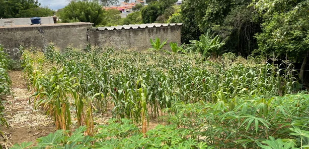 Terreno / Lote / Condomínio à venda, 1050m² no Bosque dos Pinheiros, Capivari