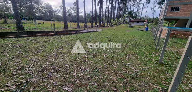 Fazenda / Sítio / Chácara com 2 Quartos à venda, 180m² no Piriquitos, Ponta Grossa