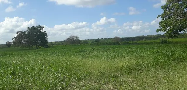 Fazenda / Sítio / Chácara com 3 Quartos à venda, 95000m² no , Vera Cruz