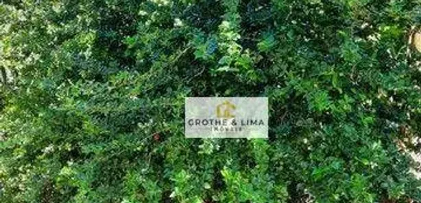 Fazenda / Sítio / Chácara com 2 Quartos à venda, 200m² no Chácara Marambaia, Caçapava