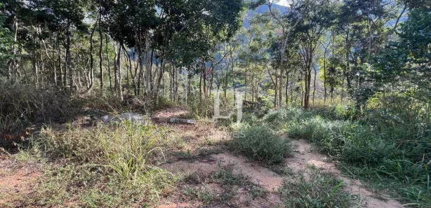Terreno / Lote / Condomínio à venda, 5206m² no Pedro do Rio, Petrópolis