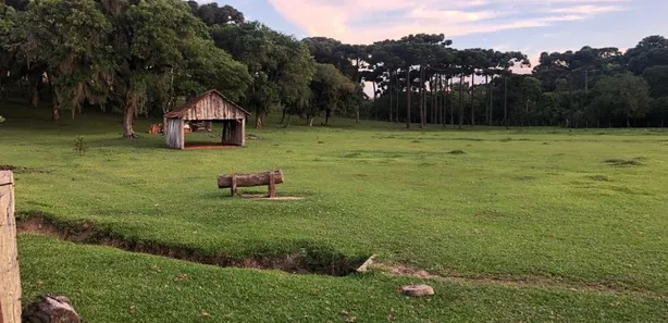 Terreno / Lote / Condomínio à venda, 32697m² no Jardim Céu Azul, Campo Largo