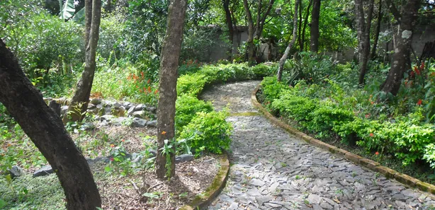 Fazenda / Sítio / Chácara com 3 Quartos à venda, 1540m² no , Capim Branco