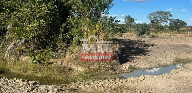 Fazenda / Sítio / Chácara à venda, 500m² no , Paranã