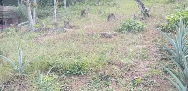Terreno / Lote / Condomínio à venda, 400m² no , Águas Mornas