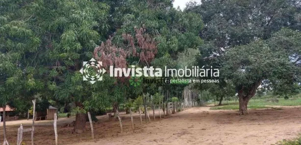 Fazenda / Sítio / Chácara à venda, 435m² no Centro, Cristalândia