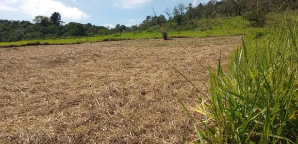 Fazenda / Sítio / Chácara à venda, 1000m² no Saboó, São Roque