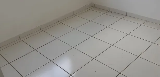 Apartamento com 2 Quartos à venda, 47m² no Moinhos, Conselheiro Lafaiete