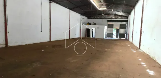 Galpão / Depósito / Armazém à venda, 350m² no Alto Cafezal, Marília