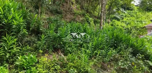 Terreno / Lote / Condomínio à venda, 503m² no Quitandinha, Petrópolis