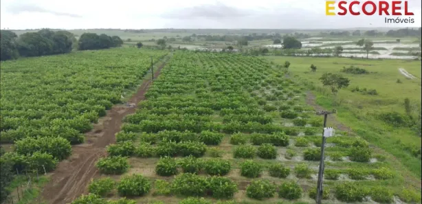 Fazenda / Sítio / Chácara com 2 Quartos à venda, 42000m² no , Alhandra