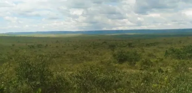 Fazenda / Sítio / Chácara à venda, 78512m² no Setor Central, Porto Alegre do Tocantins