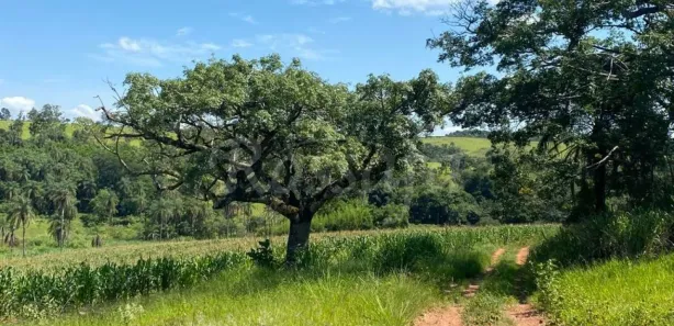 Fazenda / Sítio / Chácara à venda, 1m² no Gleba Destacada da Fazenda Santa Cruz, Jaguariúna