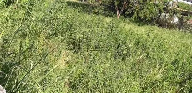 Terreno / Lote / Condomínio para venda ou aluguel, 1445m² no Jardim Conceição (Sousas), Campinas