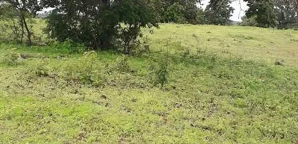 Fazenda / Sítio / Chácara com 4 Quartos à venda, 700m² no , Padre Bernardo