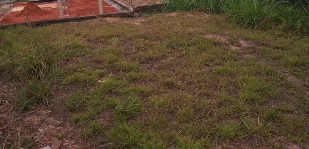 Terreno / Lote / Condomínio à venda, 218m² no Setor Habitacional Vicente Pires - Trecho 3, Brasília