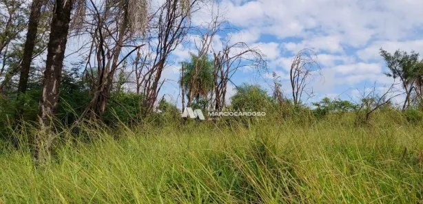 Fazenda / Sítio / Chácara com 1 Quarto à venda, 101156m² no Área Rural de Olímpia, Olímpia