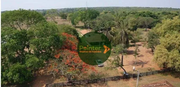 Fazenda / Sítio / Chácara à venda, 5320000m² no Área Rural de Gurupi, Gurupi
