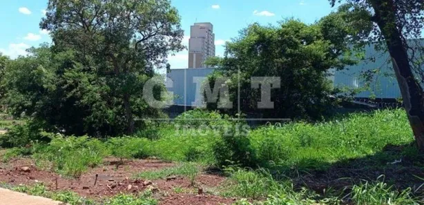 Terreno / Lote / Condomínio para alugar, 370m² no Alto da Boa Vista, Ribeirão Preto