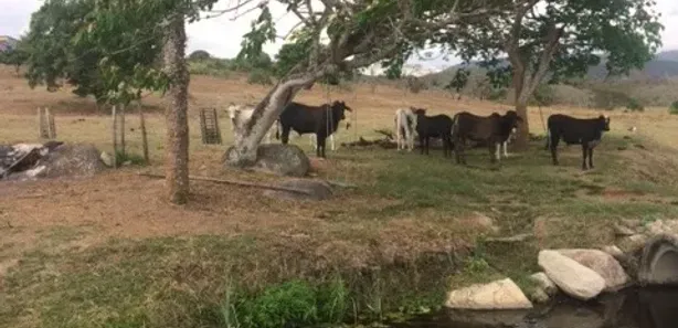 Fazenda / Sítio / Chácara com 4 Quartos à venda, 210m² no , Agrestina