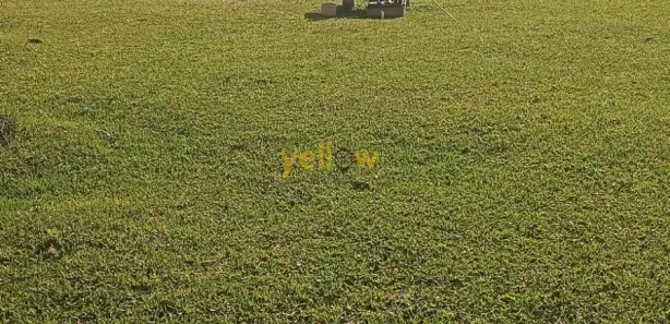 Fazenda / Sítio / Chácara com 4 Quartos à venda, 20000m² no Água Branca, Igaratá
