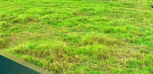 Fazenda / Sítio / Chácara com 3 Quartos à venda, 500000m² no Centro, Nossa Senhora das Dores