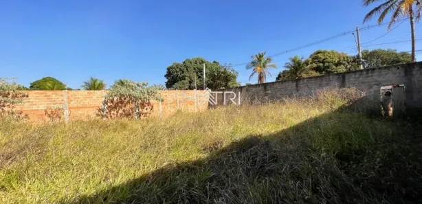 Fazenda / Sítio / Chácara à venda, 1500m² no Chácara Flora Araraquara, Araraquara