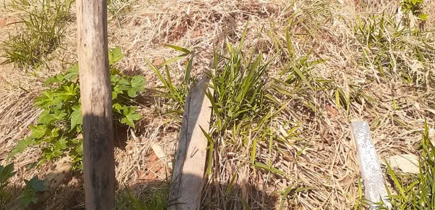 Terreno / Lote / Condomínio à venda, 210m² no Colina Verde, Pouso Alegre