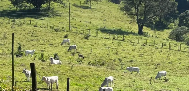 Fazenda / Sítio / Chácara com 3 Quartos à venda, 121000m² no Residencial Porta do Sol, Mairinque