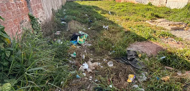 Terreno / Lote Comercial para alugar, 480m² no Paloma, Colombo