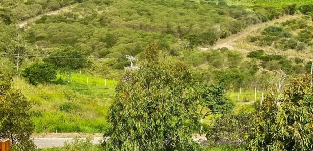 Casa de Condomínio com 6 Quartos à venda, 350m² no Porta Florada, Gravatá