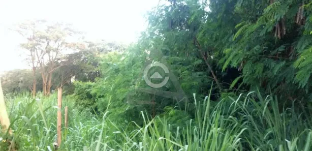 Terreno / Lote / Condomínio à venda, 700m² no Caminhos de San Conrado (Sousas), Campinas