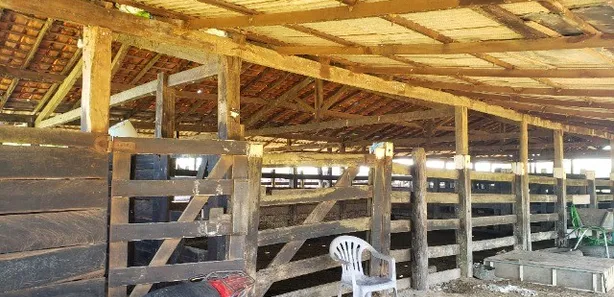 Fazenda / Sítio / Chácara com 4 Quartos à venda, 300000m² no , Itapecuru Mirim