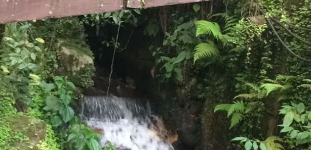 Fazenda / Sítio / Chácara com 5 Quartos à venda, 1956m² no Barreira, Guapimirim