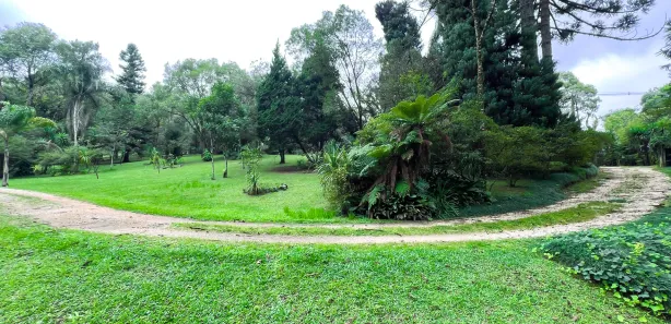 Fazenda / Sítio / Chácara à venda, 11141m² no Mato Dentro, Almirante Tamandaré