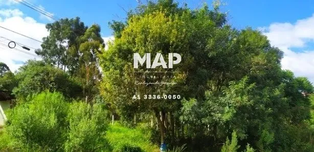 Terreno / Lote Comercial para alugar, 4380m² no Borda do Campo, Quatro Barras
