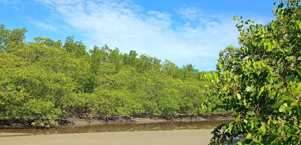 Terreno / Lote / Condomínio à venda, 471m² no , Itaparica