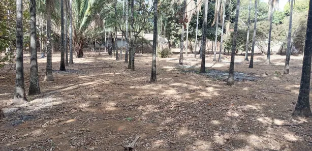 Fazenda / Sítio / Chácara com 2 Quartos à venda, 5000m² no Setor Central, Padre Bernardo
