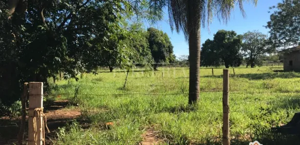 Fazenda / Sítio / Chácara com 2 Quartos para alugar, 150m² no Centro, Araçatuba